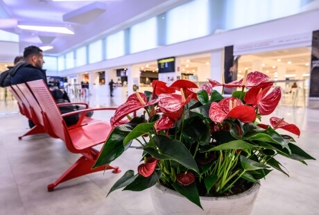 25 NOVEMBRE: GLI AEROPORTI DEL NORD SARDEGNA SI TINGONO DI ROSSO CONTRO LA VIOLENZA SULLE DONNE